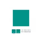 Collector Edition Miami Vice