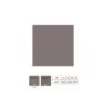 Collector Edition Shadow Grey