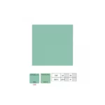 Collector Edition Yeezy