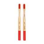 Set de brosses pour le nettoyage en détail