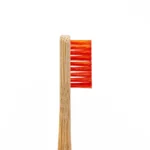 Set de brosses pour le nettoyage en détail